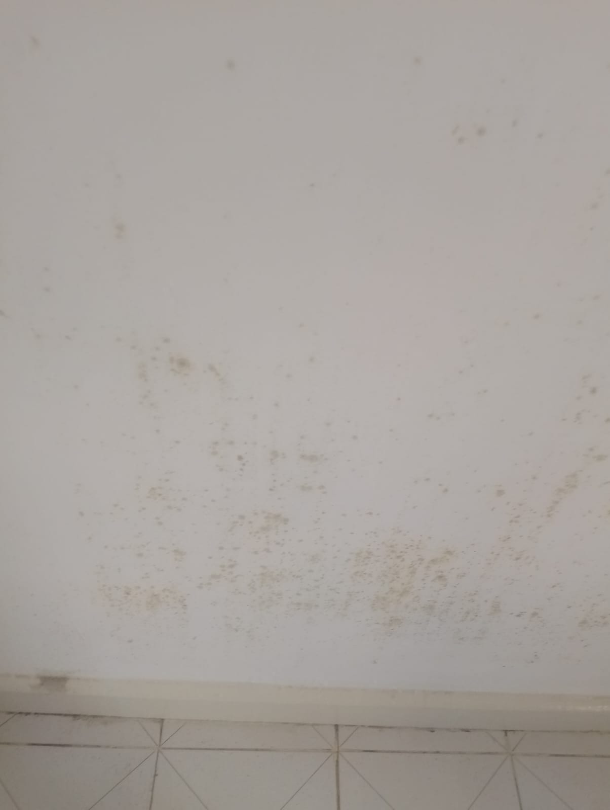 Residential mold removal in Nairobi - bathroom mold remediation before and after