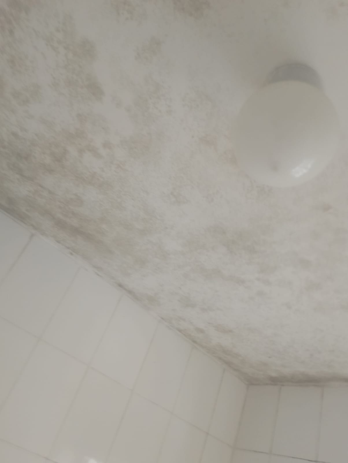 Mold inspection and testing services in Runda - property assessment