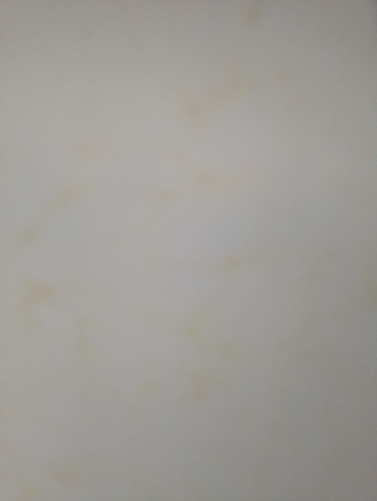 Residential mold removal services in Muthaiga - basement treatment