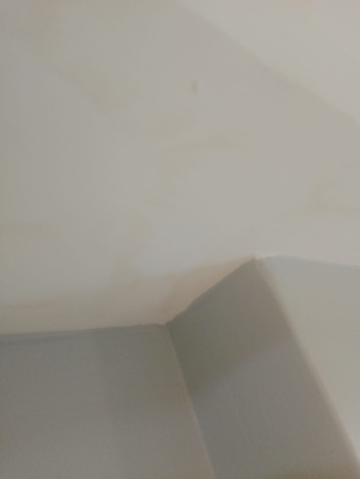 Industrial mold prevention and moisture control solutions in Kenya