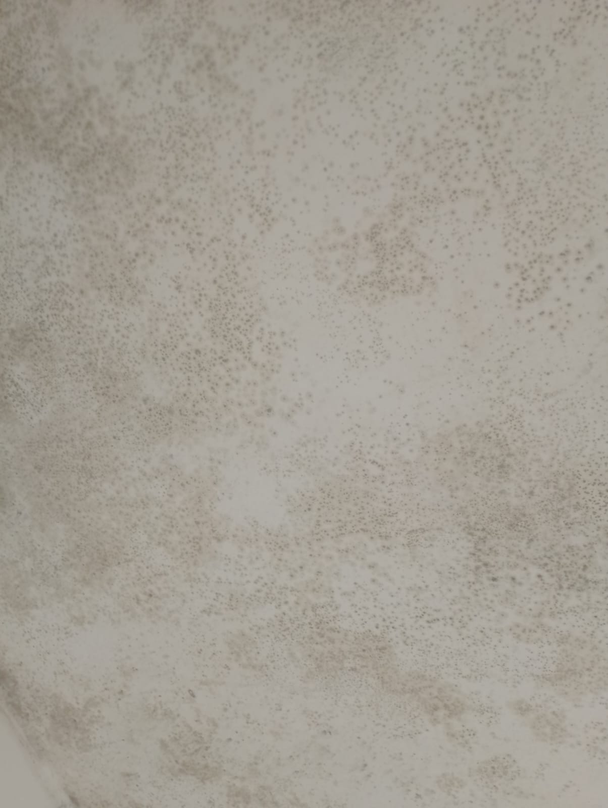 Home mold inspection and removal services in Runda - wall mold treatment
