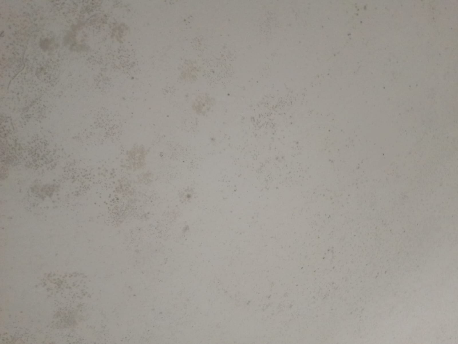 Industrial warehouse mold control and remediation in Nairobi