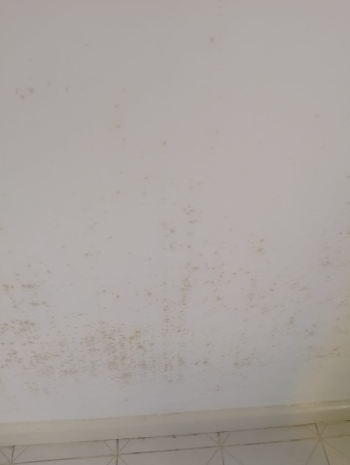 Residential mold removal services in Nairobi - ceiling mold treatment
