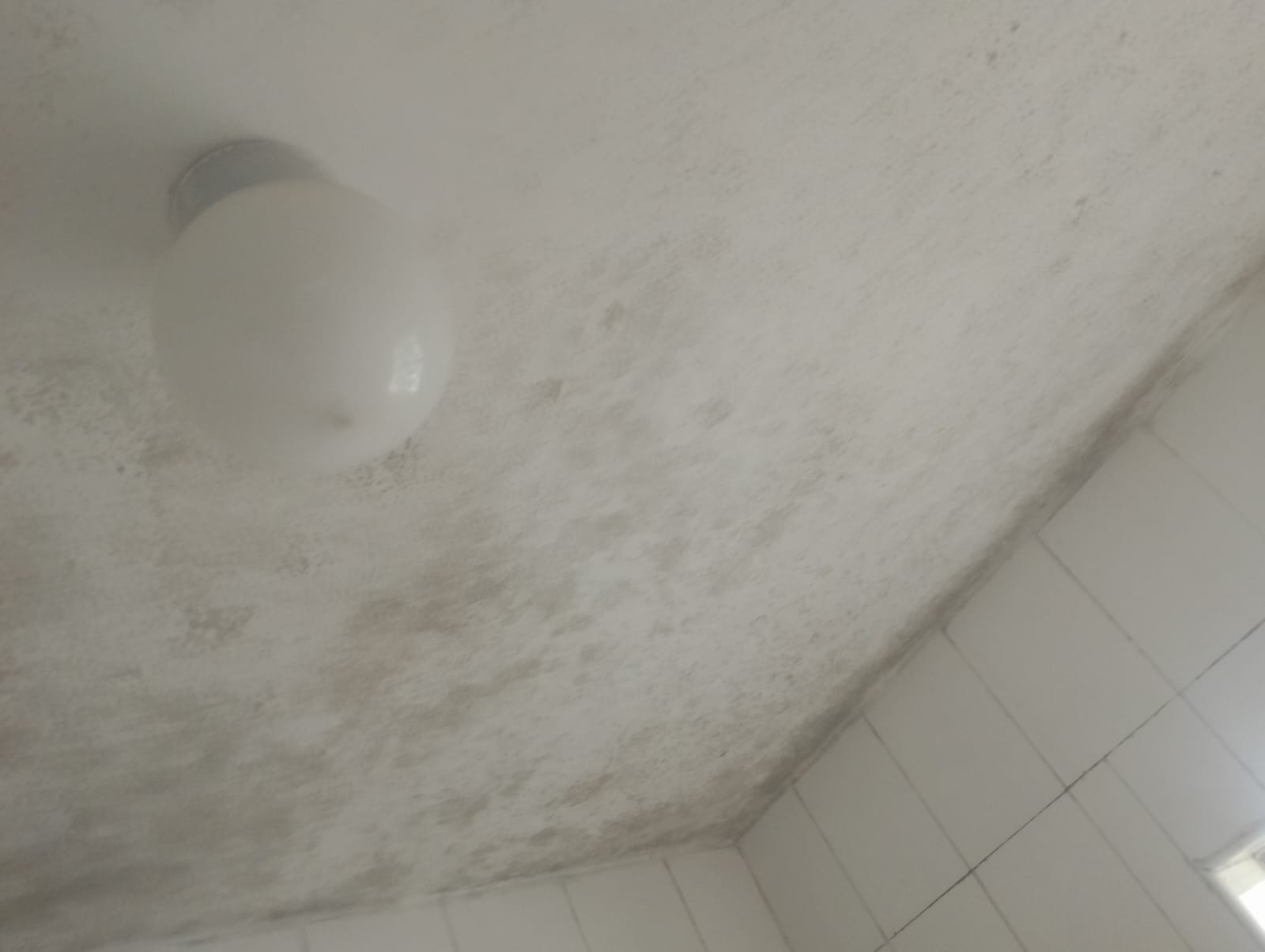 Healthcare facility mold abatement and removal services in Kenya